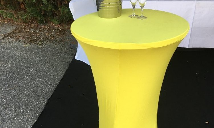 Housse de mange debout jaune à Vienne